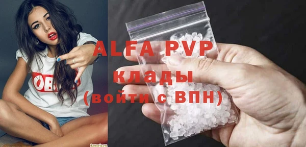 PSILOCYBIN Тутаев