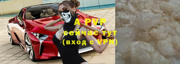 стаф Липки
