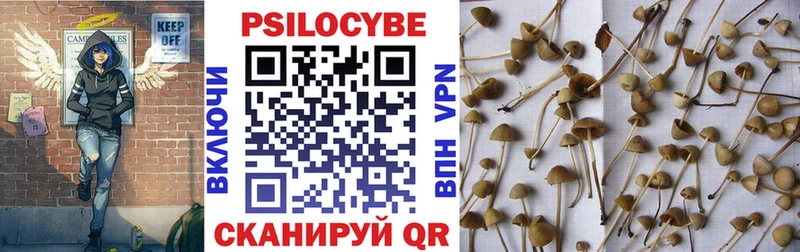Галлюциногенные грибы ЛСД  купить наркотик  Щучье 